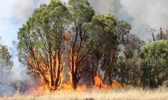 How climate change influenced Australia's unprecedented fires - Yale Climate Connections