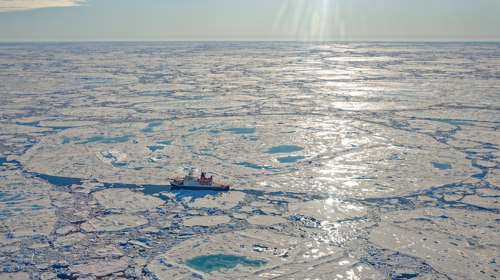 Arctic ice floe